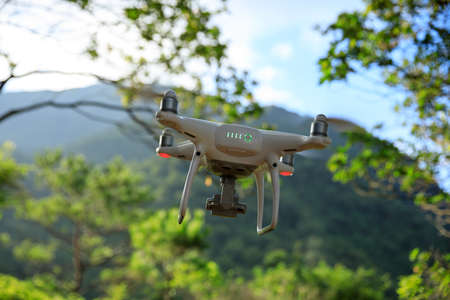 White drone with camera flying in summer forestの写真素材