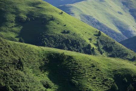 High altitude grassland mountain landscapeの写真素材
