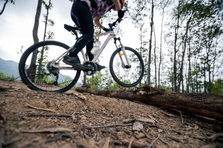 Woman jumping over a log cycling on mountain top forest trailの写真素材