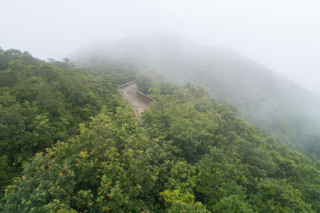 Aerial view of  forest mountain landscapeの写真素材