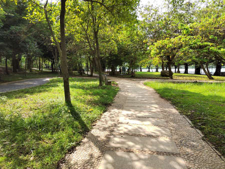 some miscellaneous beatsの写真素材