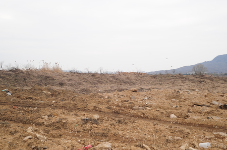 Road in the desertの写真素材
