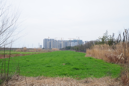 Countryside sceneryの写真素材