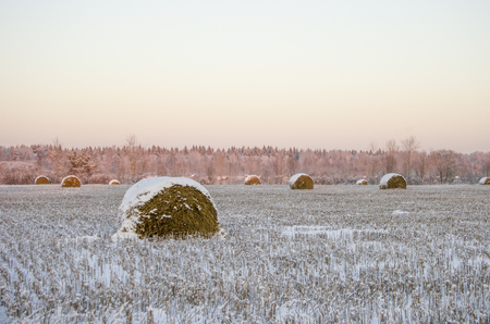 Frozen field with haystacksの写真素材