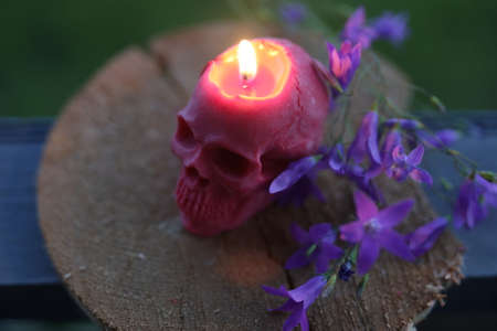 photo taken outside on a summer evening, a burning candle in the form of a skull and flowersの写真素材