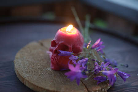 photo taken outside on a summer evening, a burning candle in the form of a skull and flowersの写真素材