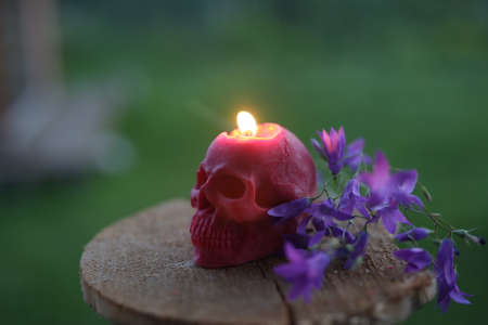 photo of a skull candle with purple flowersの写真素材