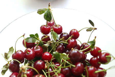 cherry on a white backgroundの写真素材