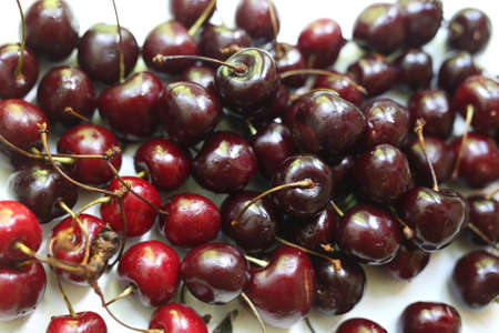 cherry on a white backgroundの写真素材