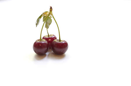 cherry on a white backgroundの写真素材
