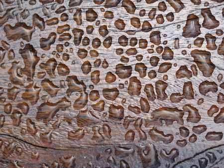 drops on table                                の写真素材