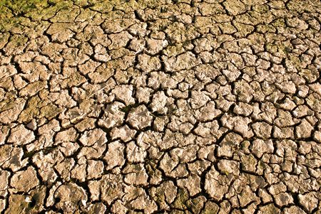 dry land                   の写真素材