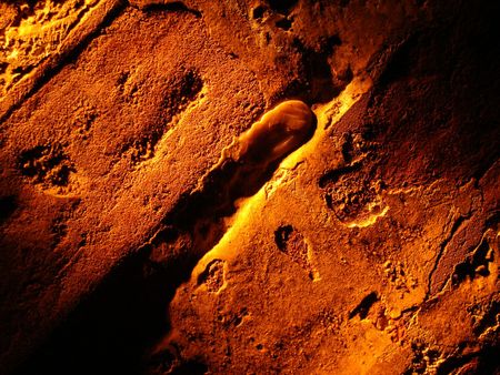  wall texture                              の写真素材