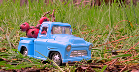 blue toy truck