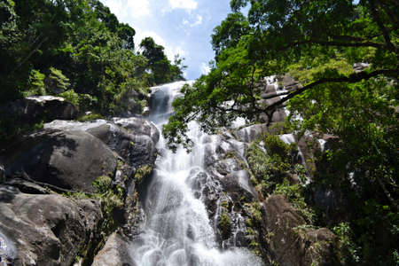 waterfall hidden in the forestの写真素材
