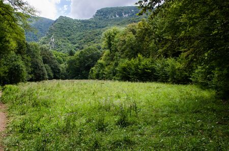 Mountain landscape from Romania in sunny summer dayのeditorial素材