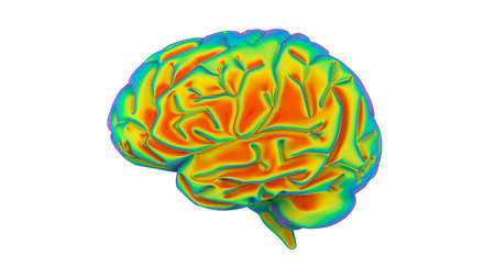 brain rainbow gradient renderの写真素材
