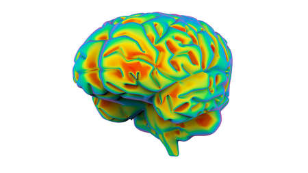 brain rainbow gradient renderの写真素材