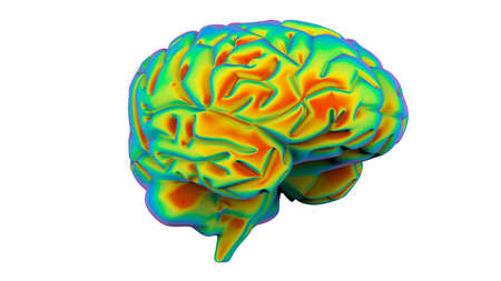 brain rainbow gradientの写真素材