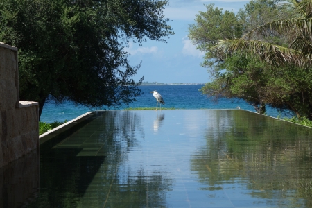 Infinity poolの写真素材