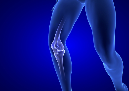 Knee Pain. Blue Human Anatomy Body 3D render on blue backgroundの写真素材
