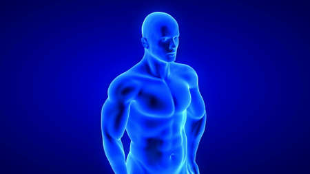 male fitness body - muscle mass building illustration on blue backgroundの写真素材