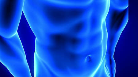male fitness body transformation, abdominal muscles detail - muscle mass building illustration on blue backgroundの写真素材