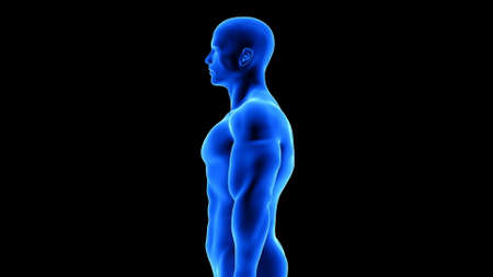 male fitness body - muscle mass building illustration on black background