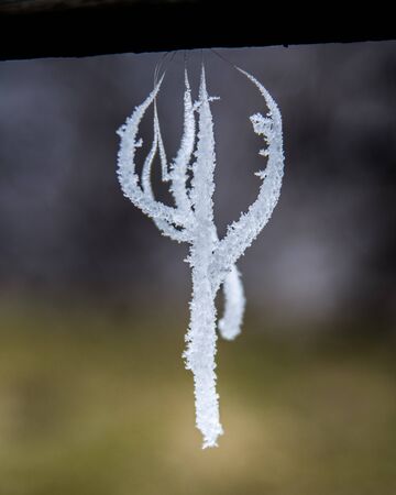 Close up natural ice sculpture created on horse hair hanging on fenceの写真素材