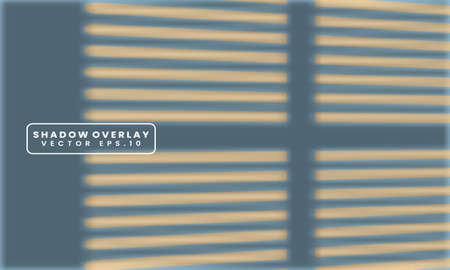 Vector Shadow overlay layer effect design. Soft transparent light and shadow from the window.のイラスト素材