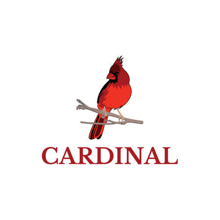 Cardinal Bird Logo Template, Perfect to use for any business to attract consumers' attention.のイラスト素材