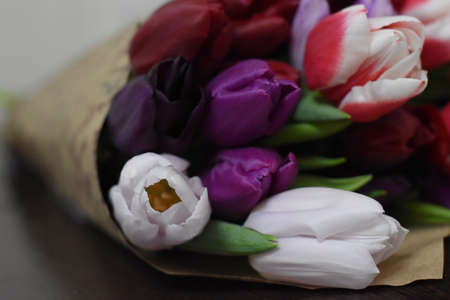 Bouquet of spring tulips with flowers of different colors, wrapped in gift paper, on a white background.の写真素材