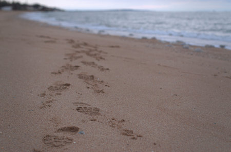 Footprints on the sand, the imprint of the shoes of a man tangling along the seashore, selective...