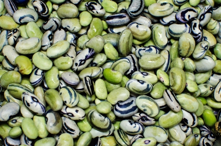 pattern of beans