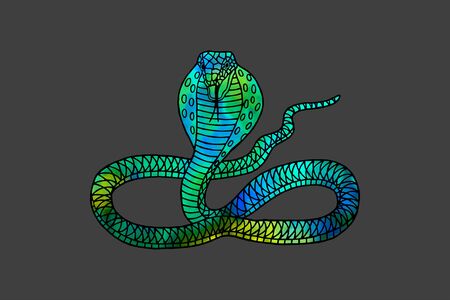 snake cobra graphic patterns.のイラスト素材