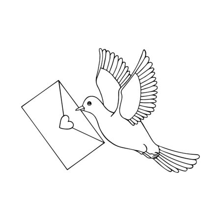 carrier pigeon flies with a letter in its beak.のイラスト素材