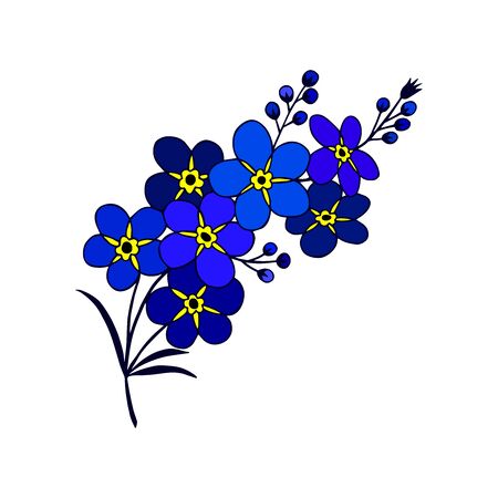 forget-me-not flowers.  hand drawingのイラスト素材