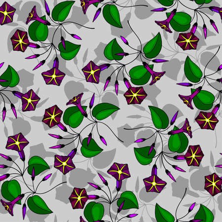 seamless pattern of flower, buds of bindweed.