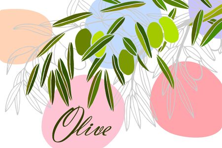 card with olives. isolate on a white background. eps10 vector stock illustration.のイラスト素材