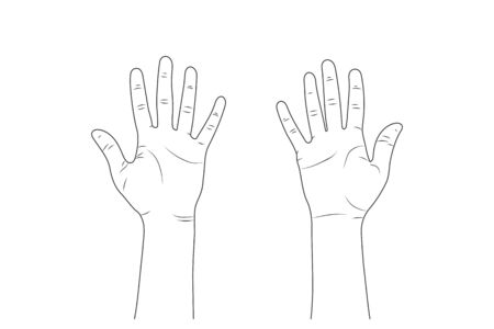 female hands sketch illustration - women's hands.のイラスト素材
