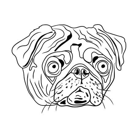 Dog breed with a flat face, pug. Eps10 vector stock illustrationのイラスト素材