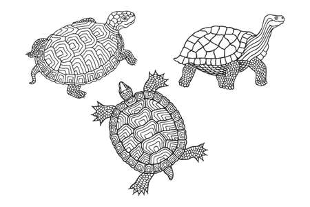 Set of turtles with a decorative pattern. Vector stock illustration eps 10. Hand drawing. Outlineのイラスト素材