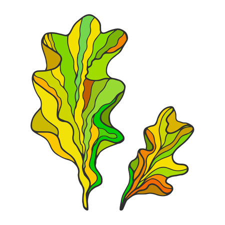 Seaweed sea salad. vector stock illustration. hand drawing.のイラスト素材