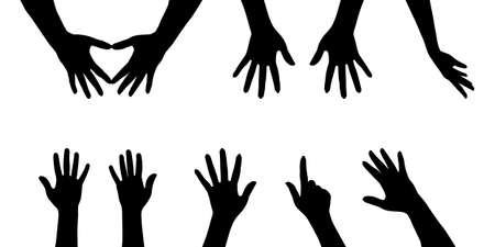 set of female hands isolate on a white background.の写真素材