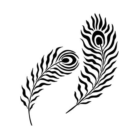 Bird feathers Vector stock illustration.のイラスト素材