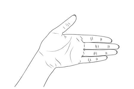 Women's hands, nails. Vector stock illustration Outline.のイラスト素材