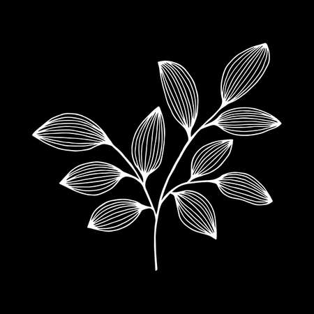 Decorative branch, botanical drawing. Vector stock illustration.のイラスト素材