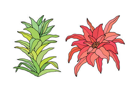 Decorative flowers.のイラスト素材