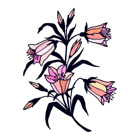 Flowers bells. Vector stock illustration eps10. Hand drawing.のイラスト素材