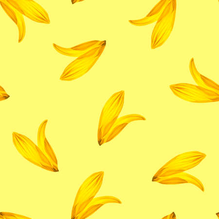Sunflower petals seamless pattern Vector illustration.のイラスト素材